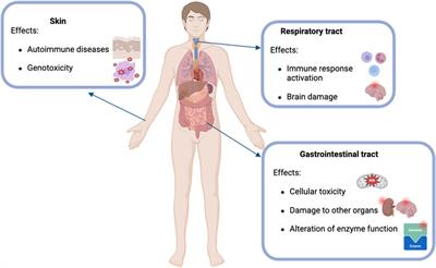 Agricultural waste as a sustainable source for nanoparticle synthesis and their antimicrobial properties for food preservation